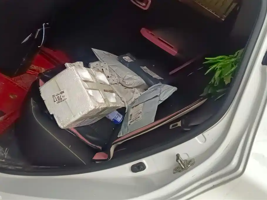 Changan Benben E-Star