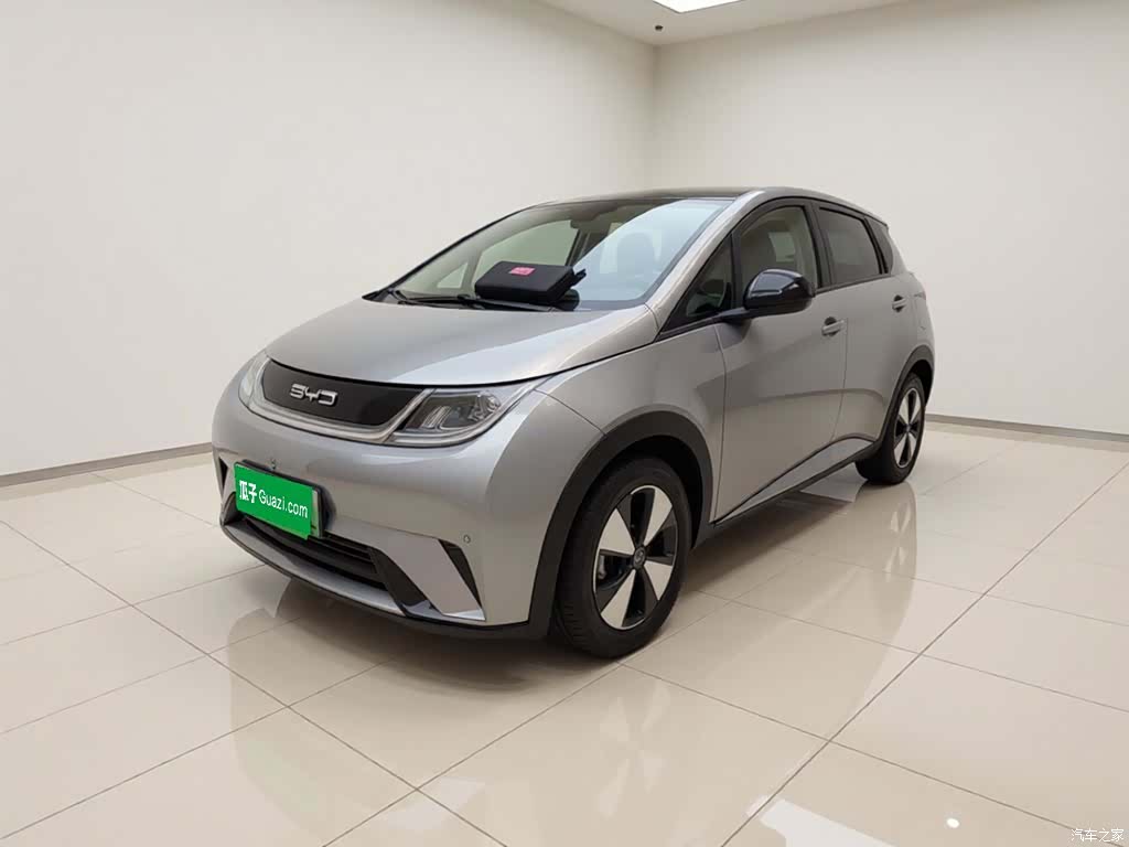BYD Dolphin, 2023 2