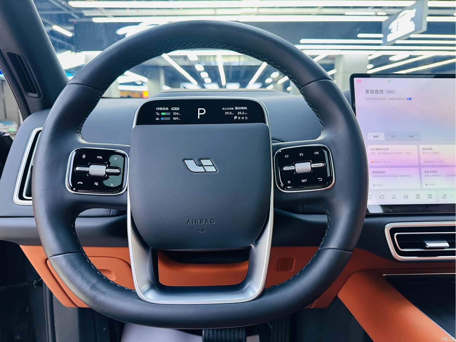 Li Auto L9, 2024 18