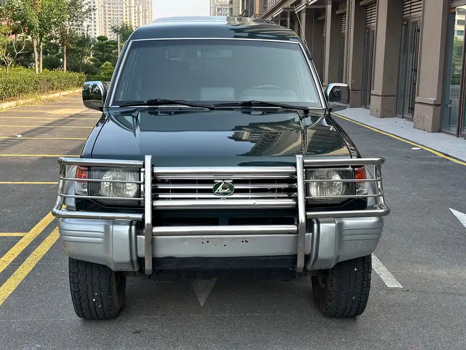 Leopaard Cheetah 6481