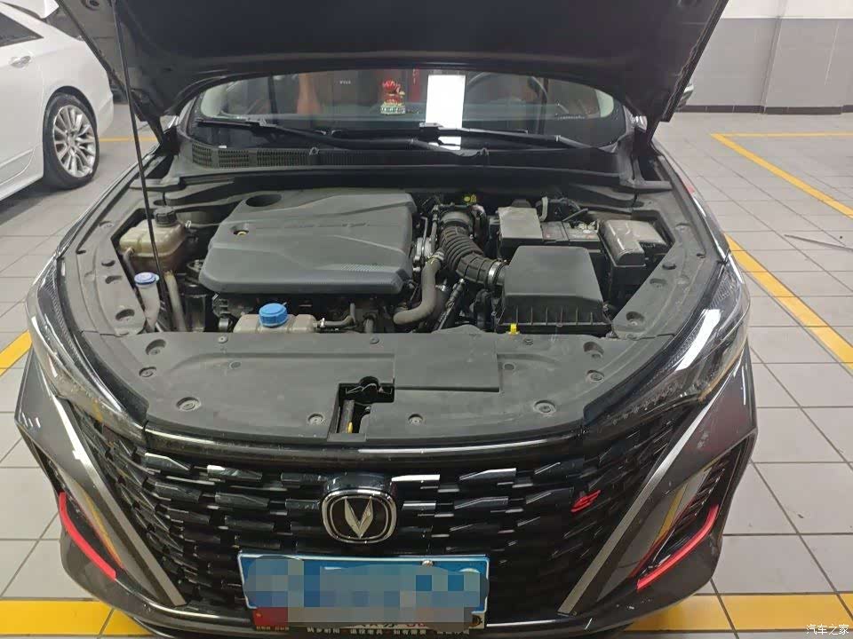 Changan Eado, 2023 9