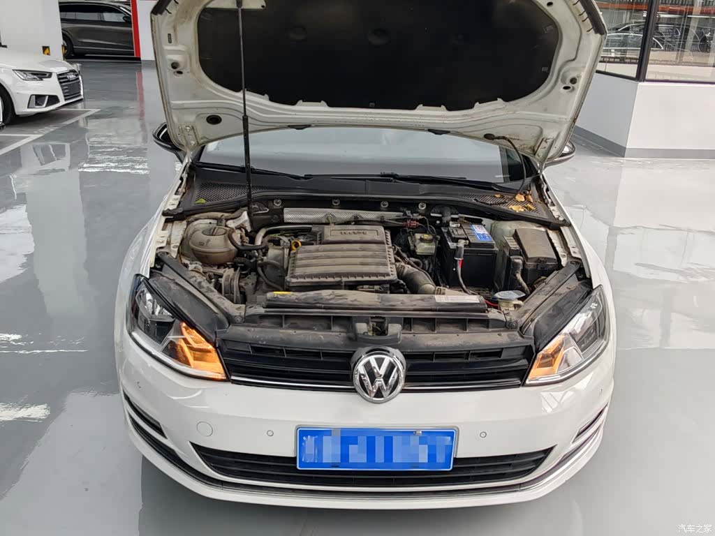 Volkswagen Golf, 2017 17
