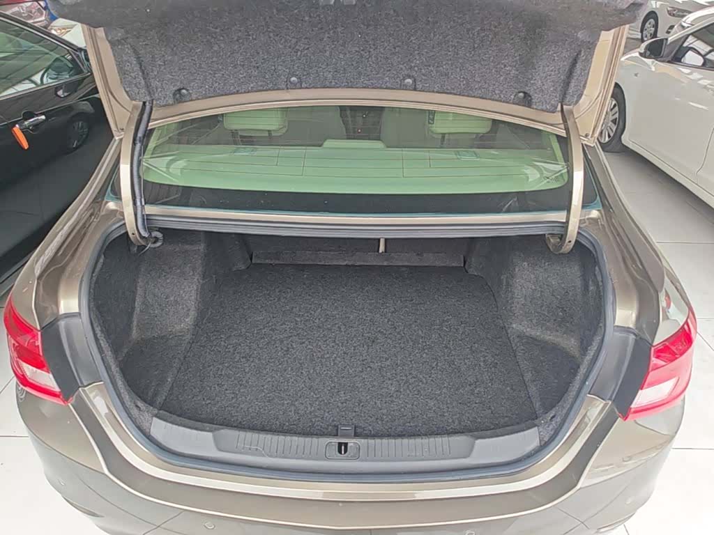 Buick 15N, 2017 19
