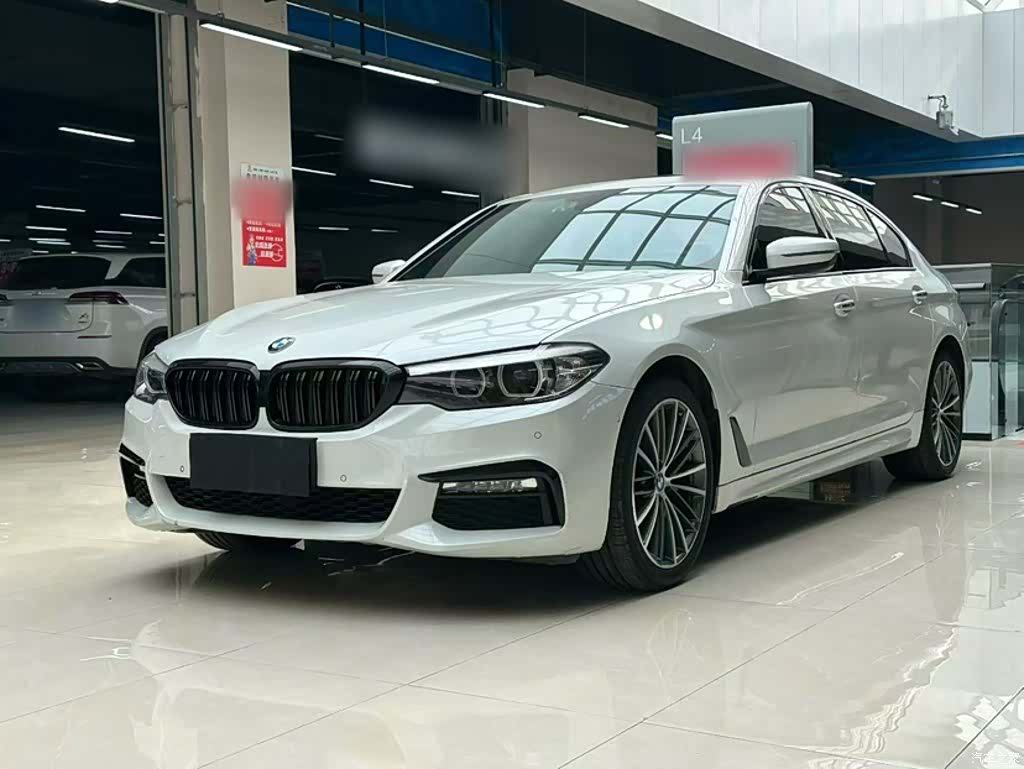 BMW 5 Series, 2018 8