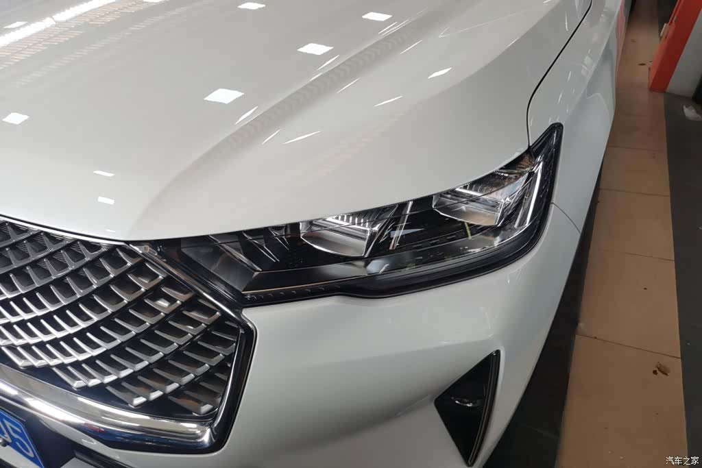 Haval H6, 2025 все фото