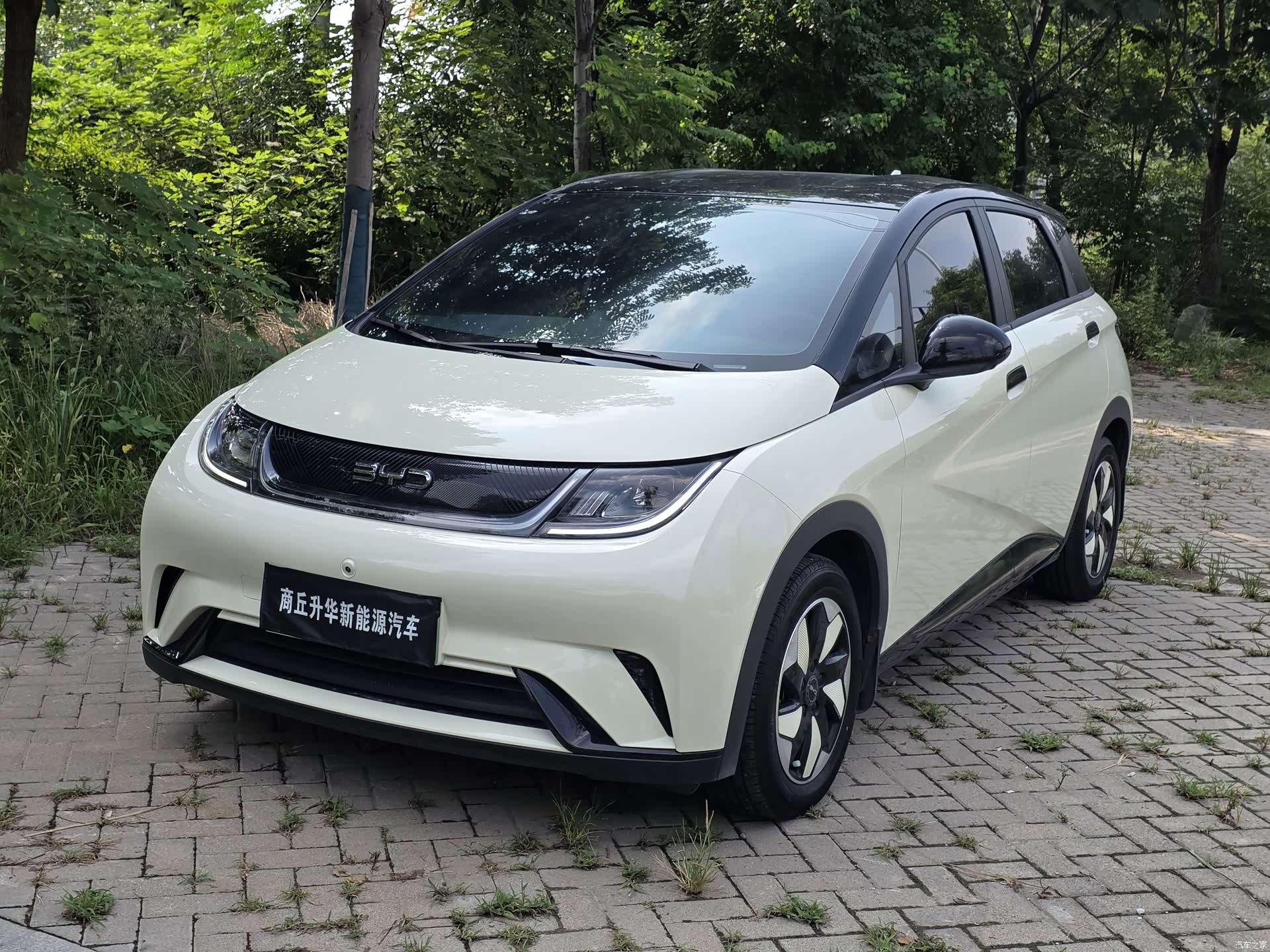 BYD Dolphin, 2025 2