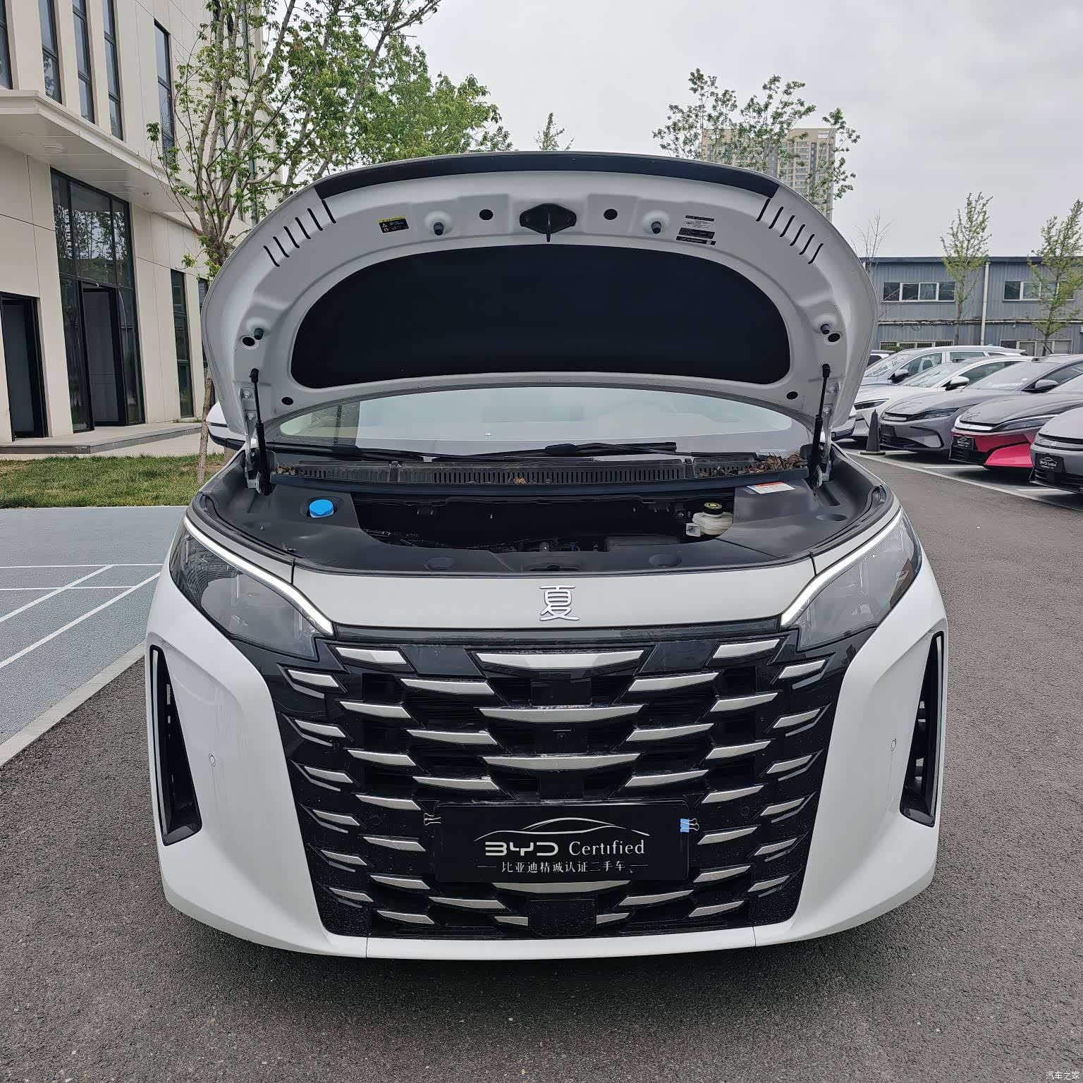 BYD Xia, 2025 2