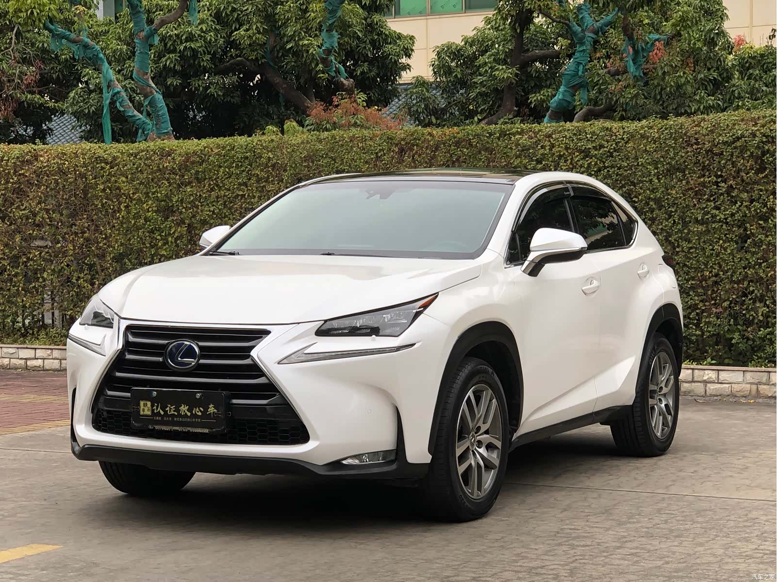 Lexus NX, 2016 1