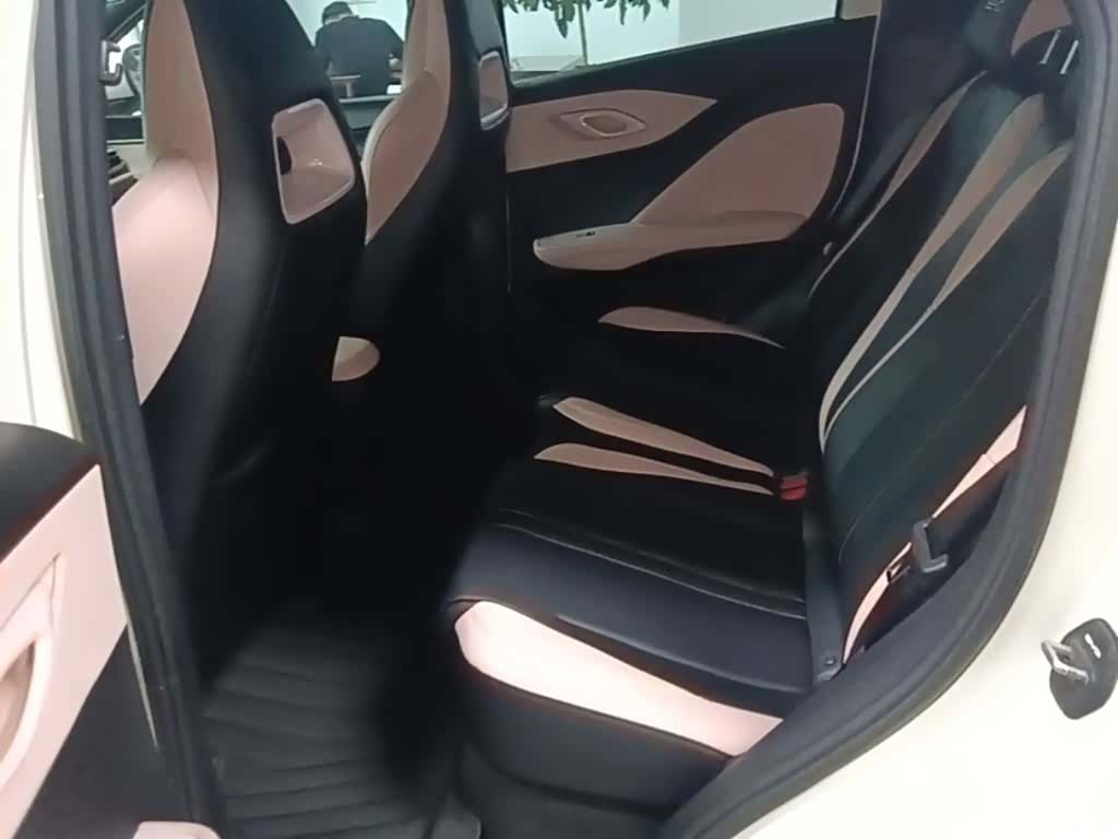 BYD Seagull, 2024 17