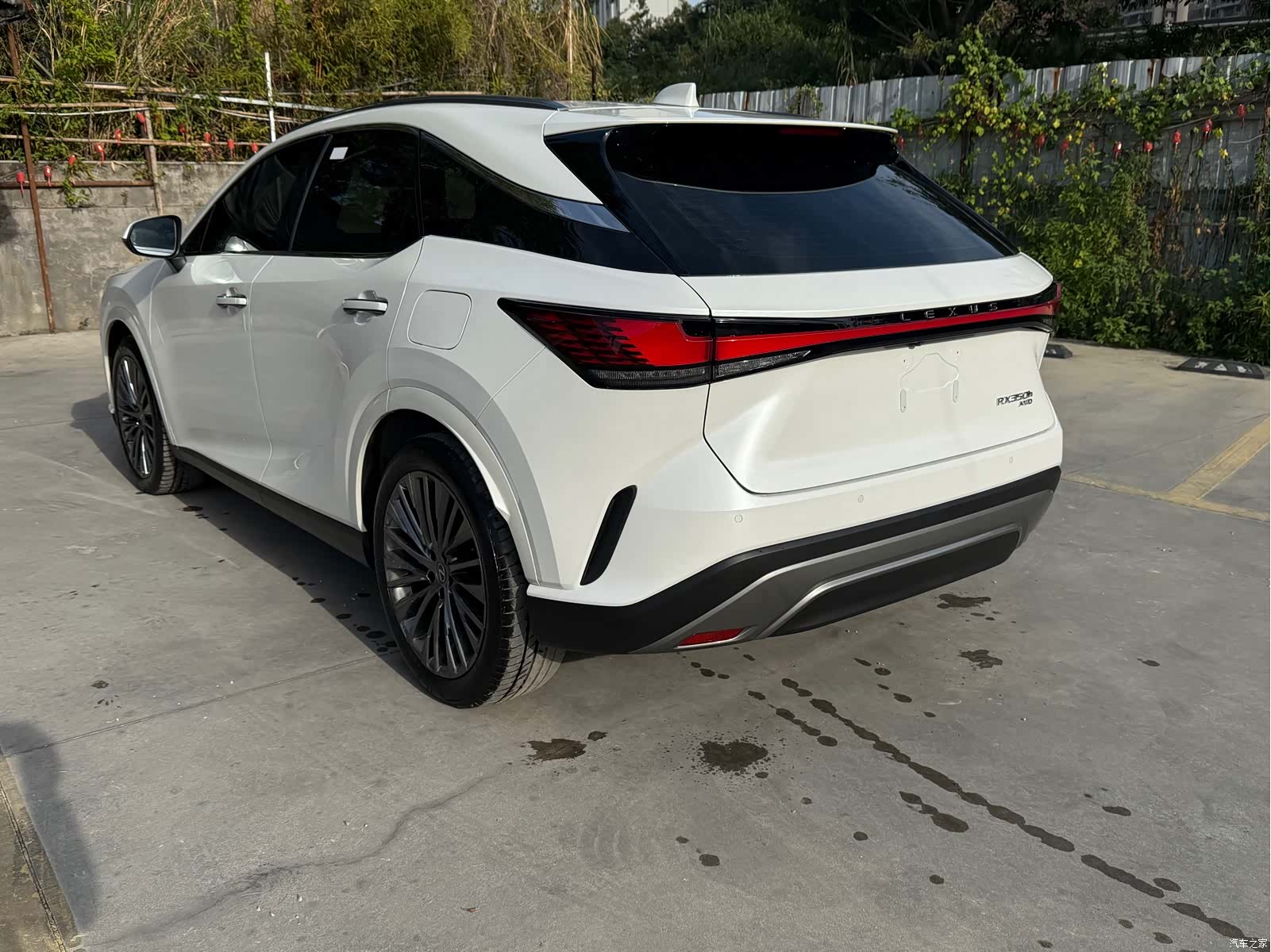 Lexus RX, 2024 3