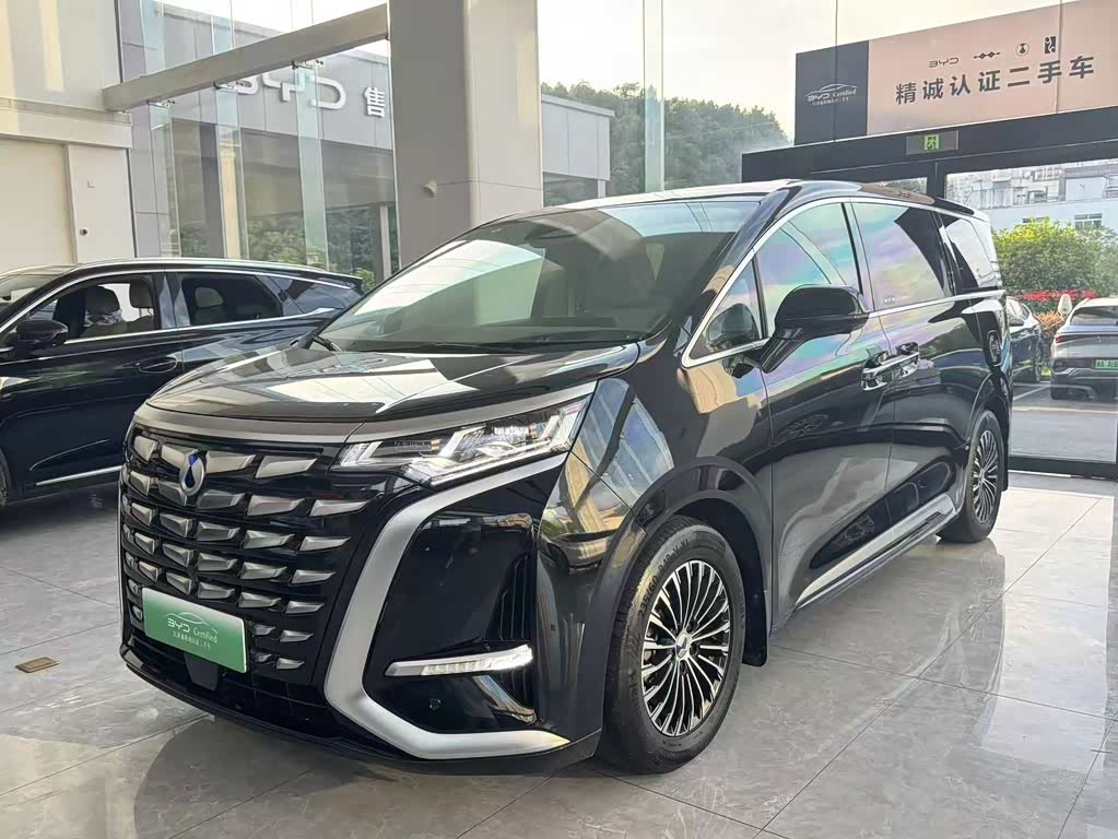 Denza D9