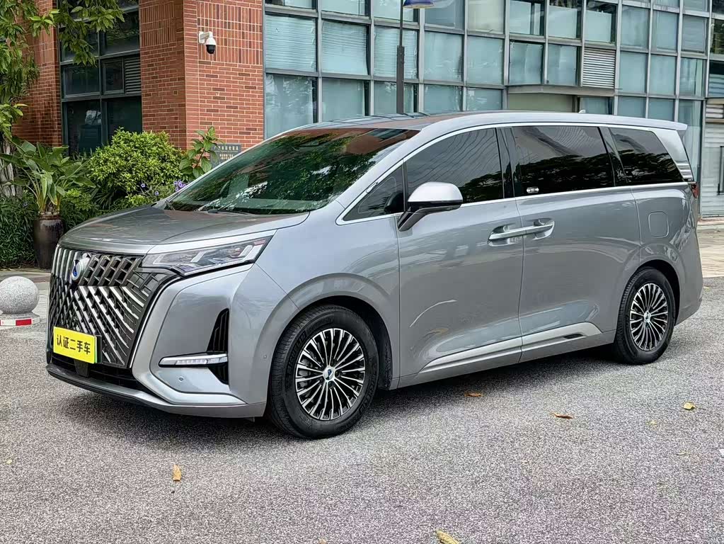 Denza D9