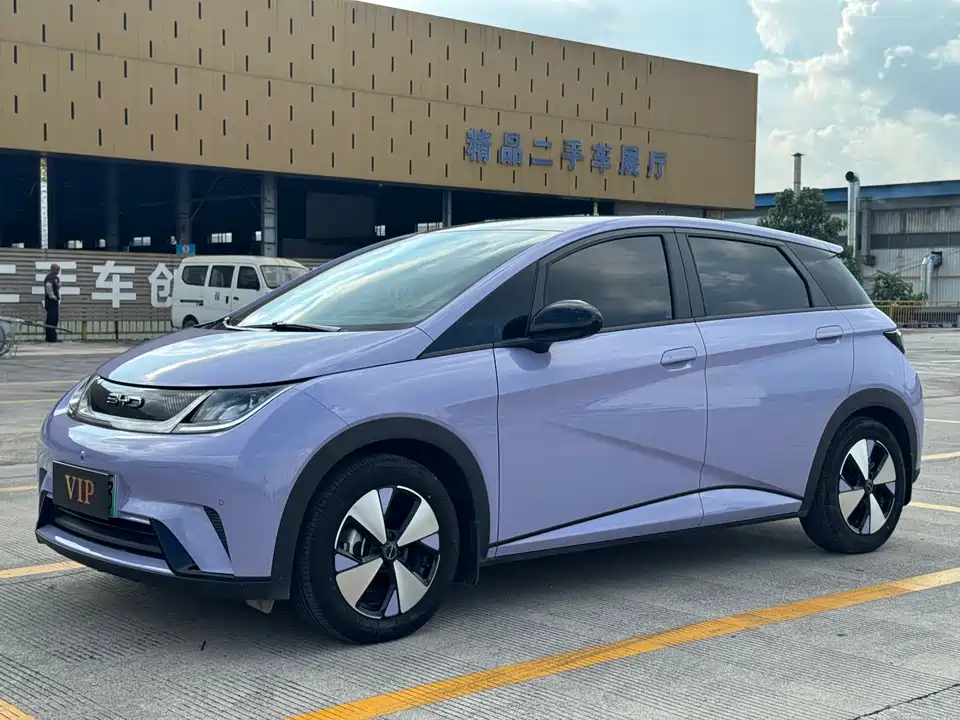 BYD dolphin