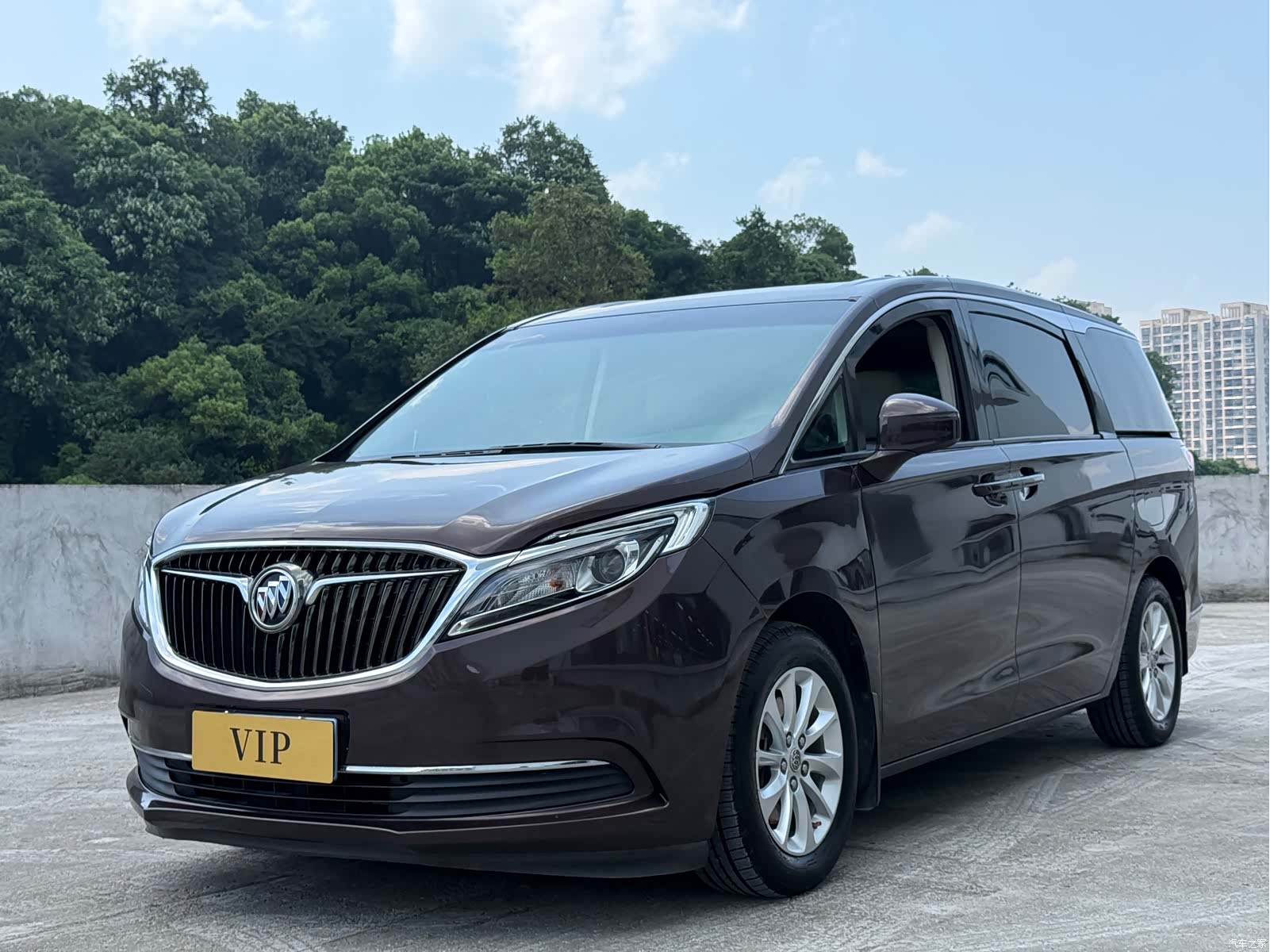 Buick GL8, 2019 1