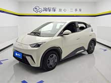 ��Ÿ 2024�� ��ҫ�� 305km ������