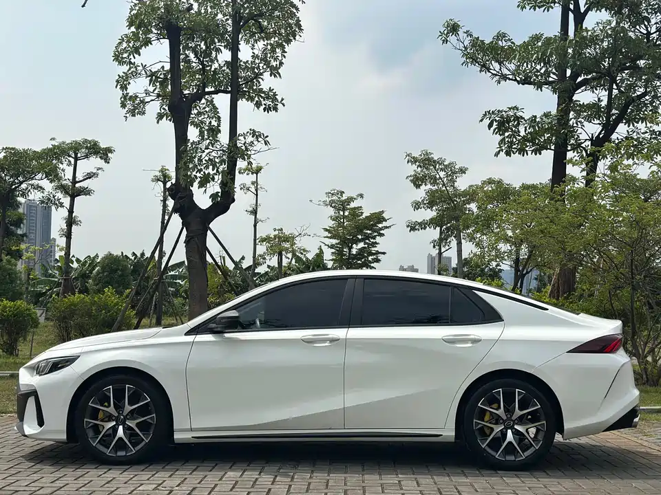 Trumpchi Shadow Leopard