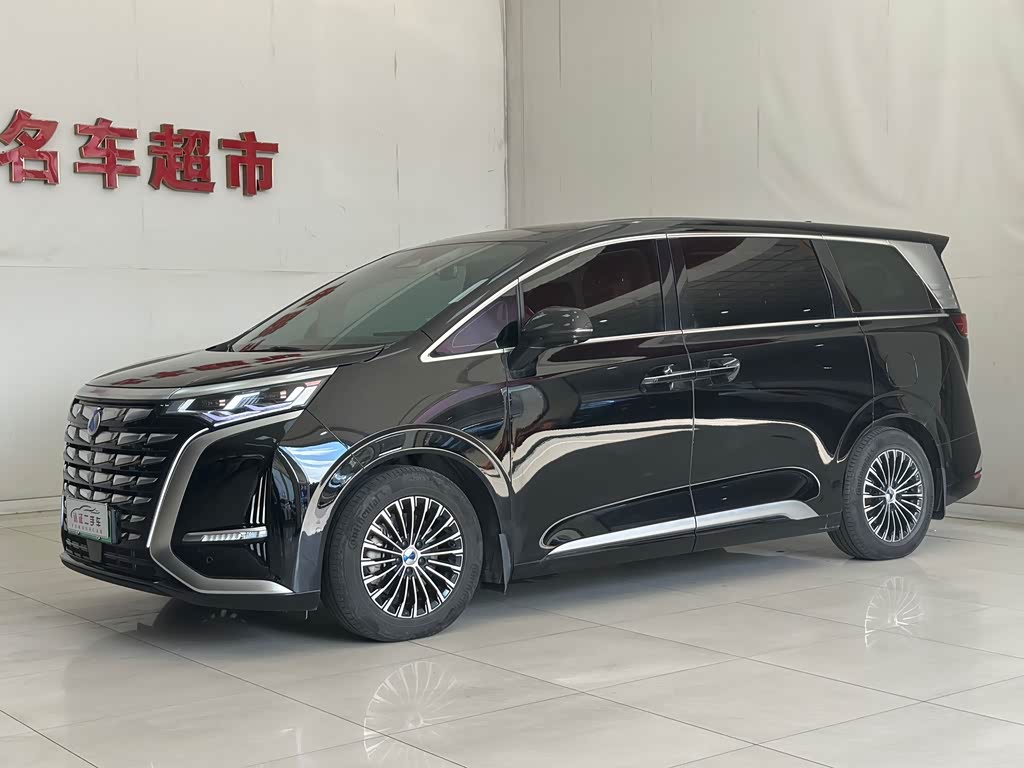 Denza D9