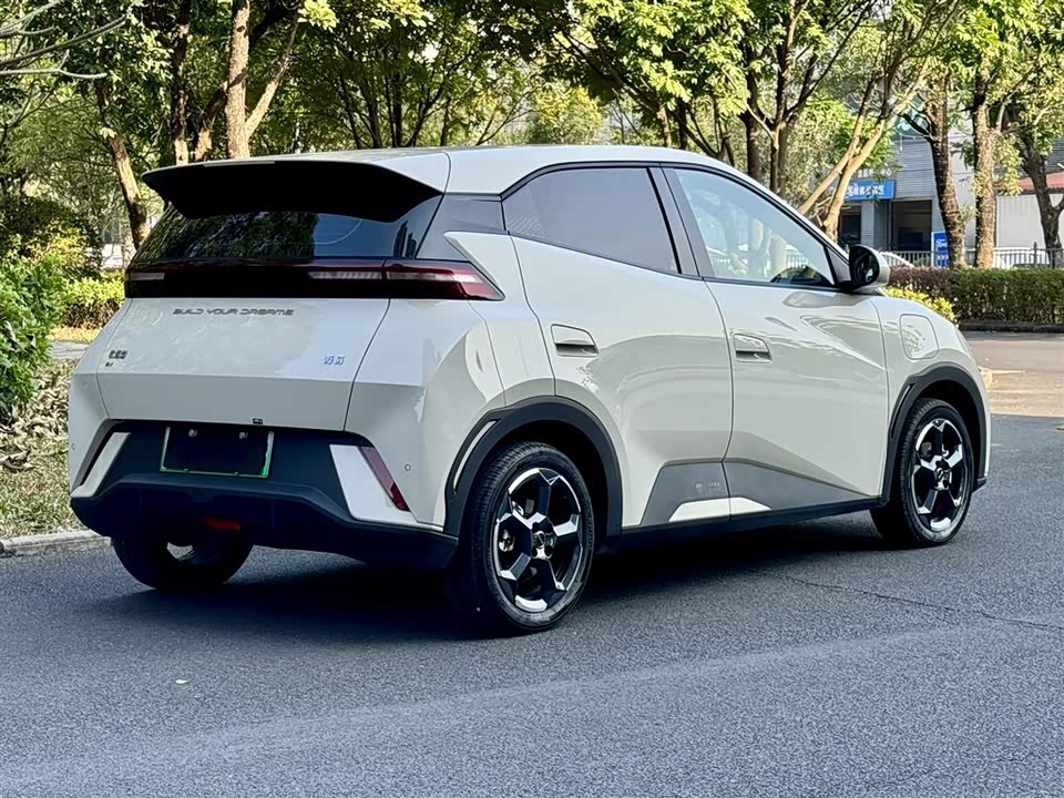 BYD Seagull
