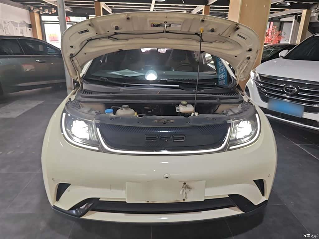 BYD Dolphin, 2023 20