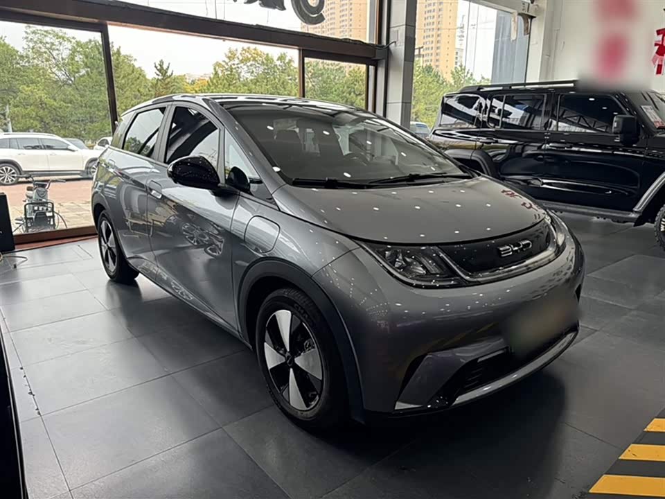 BYD dolphin