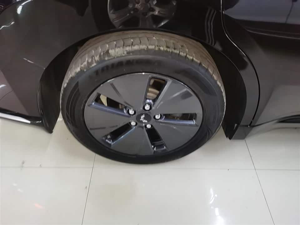 Wuling Wuling Starlight