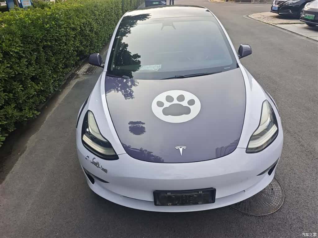 Tesla Model 3, 2019 2