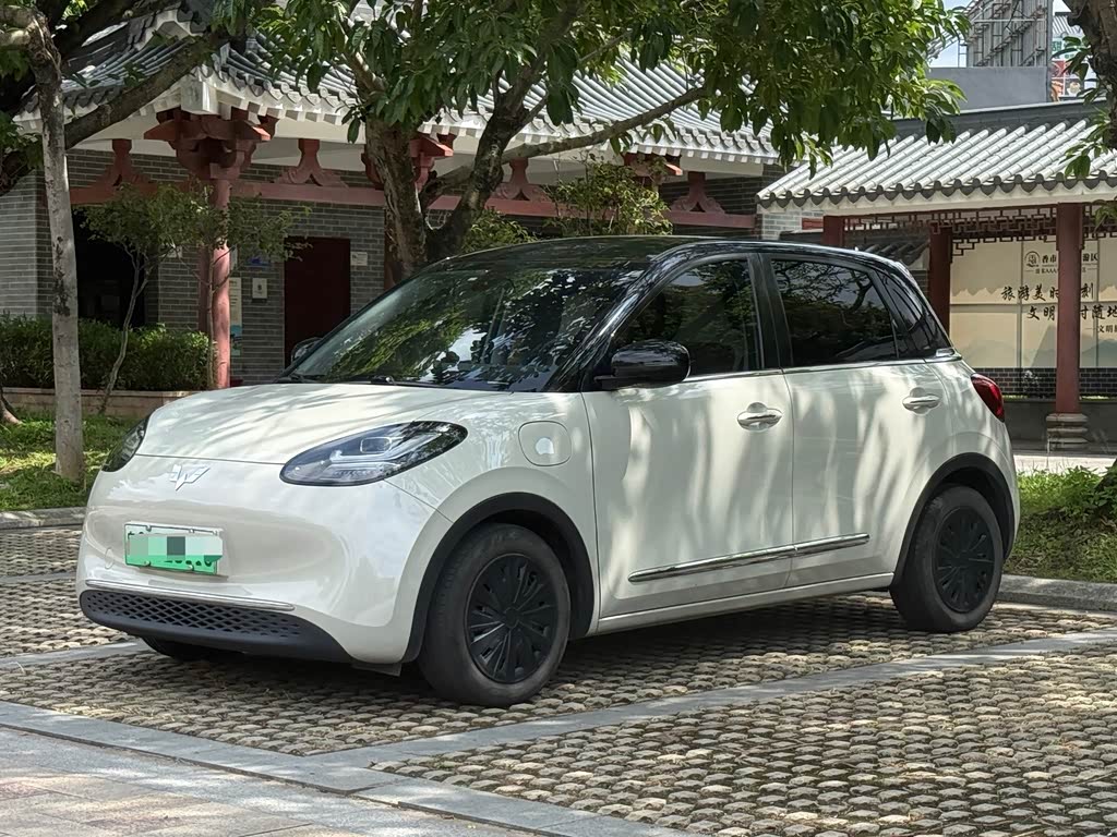 Wuling Binguo