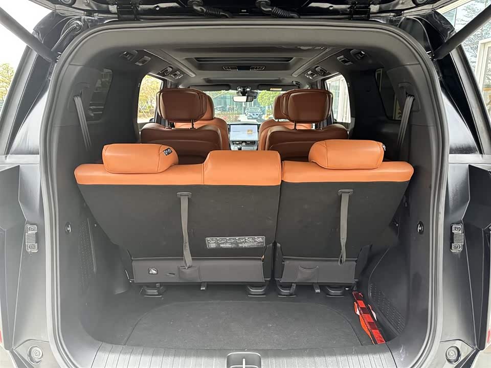 Trumpchi Trumpchi E9