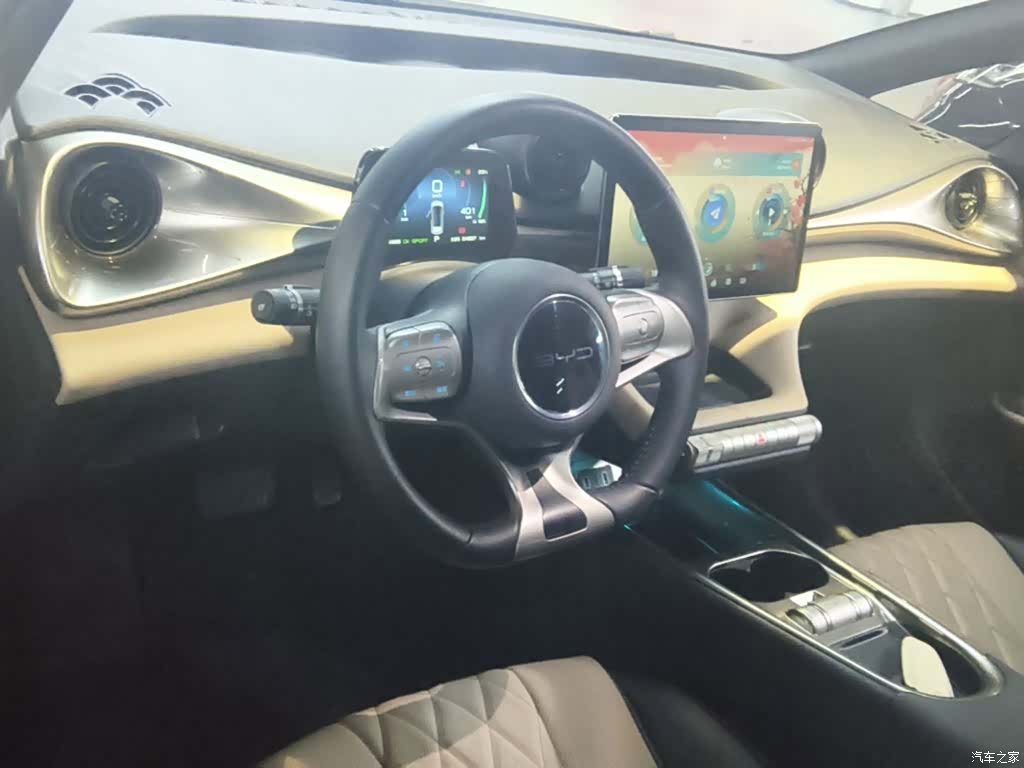 BYD Dolphin, 2023 10