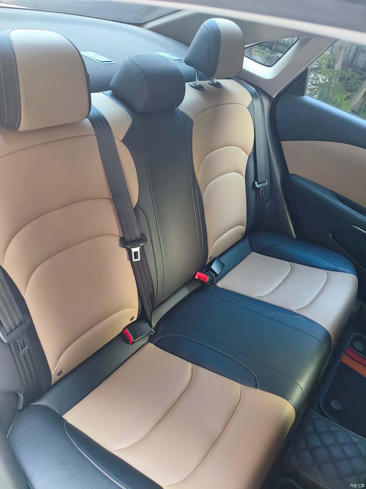 Chevrolet 320, 2022 все фото