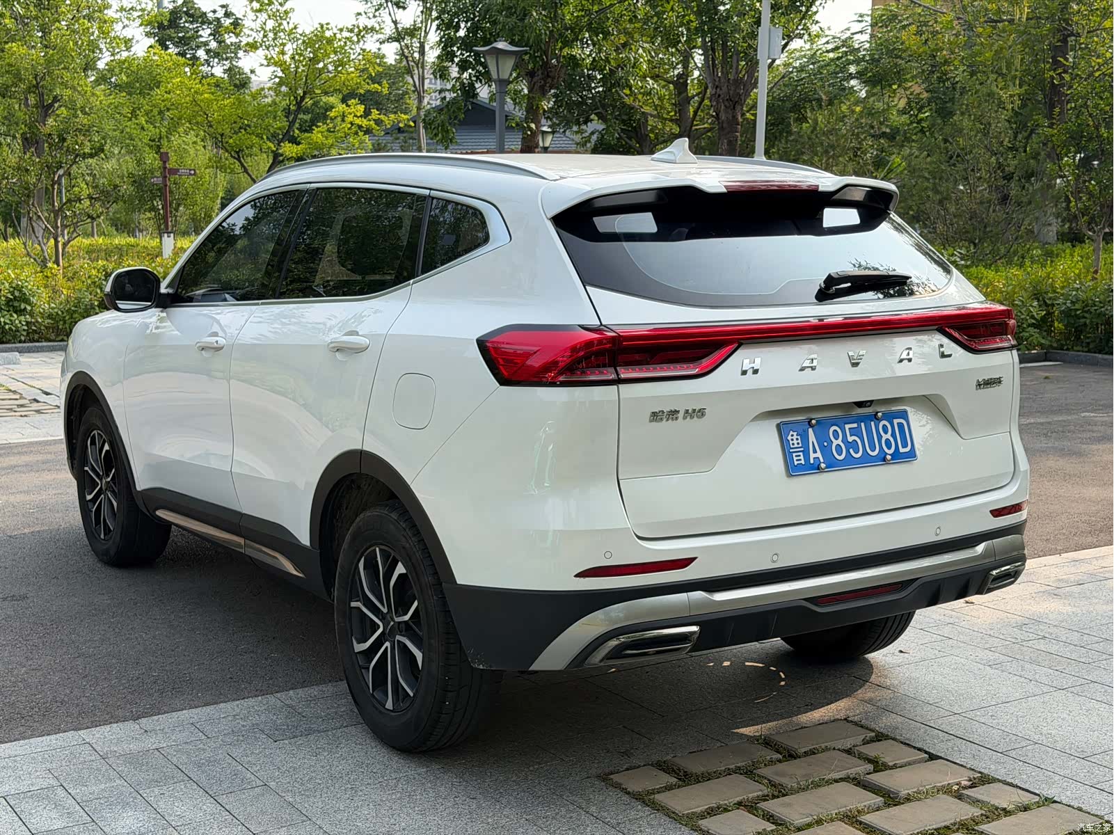 Haval H6, 2022 все фото
