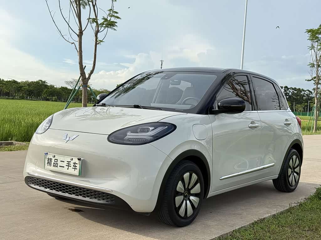 Wuling Binguo