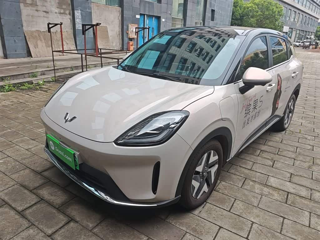 Wuling BinguoS