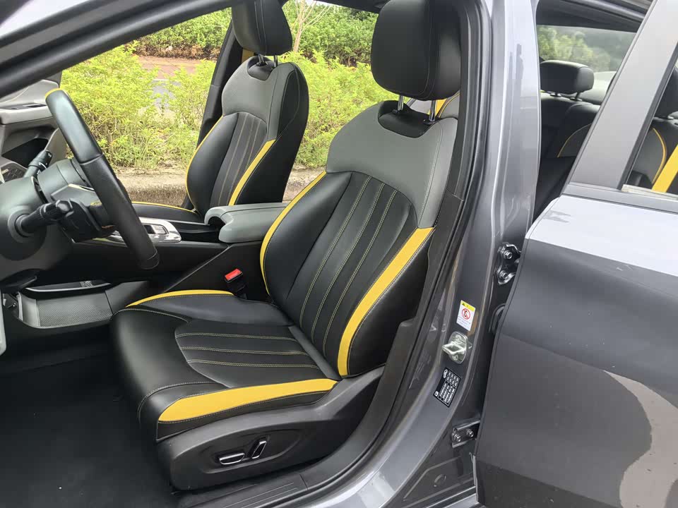 Trumpchi Shadow Leopard