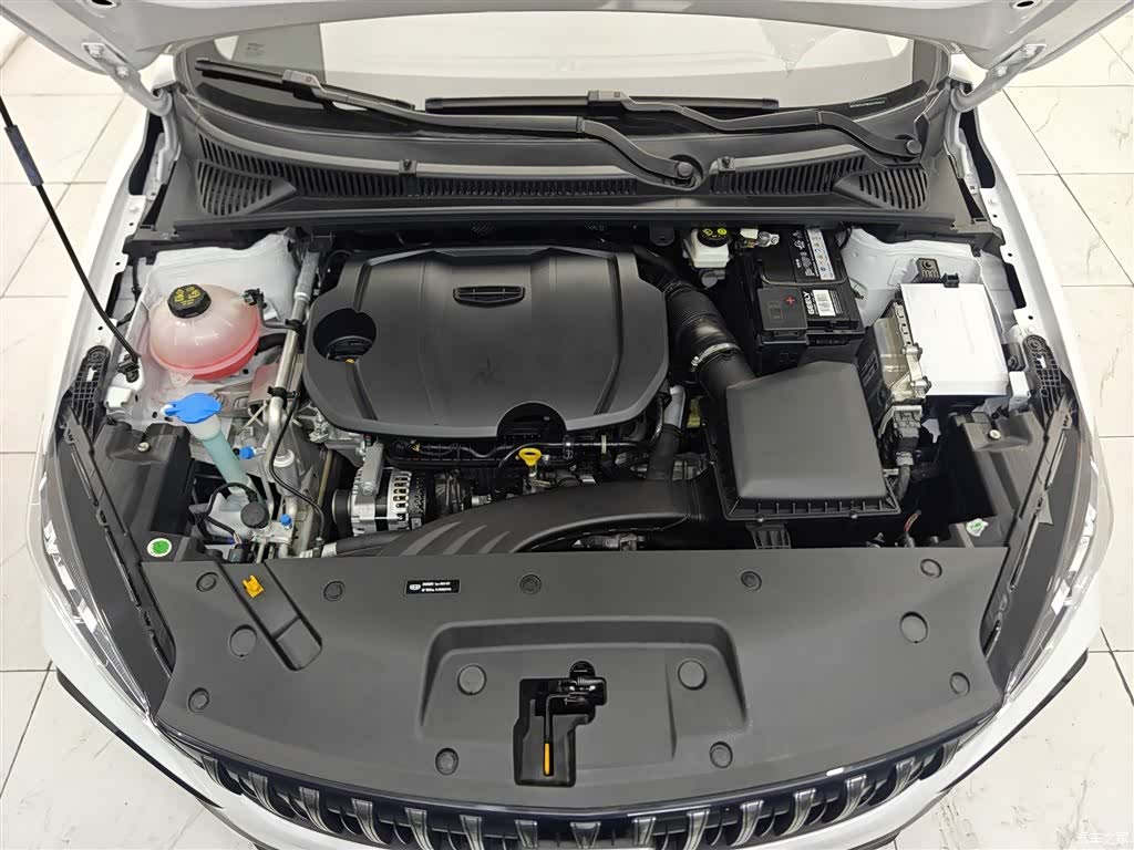 Geely Binray, 2024 11