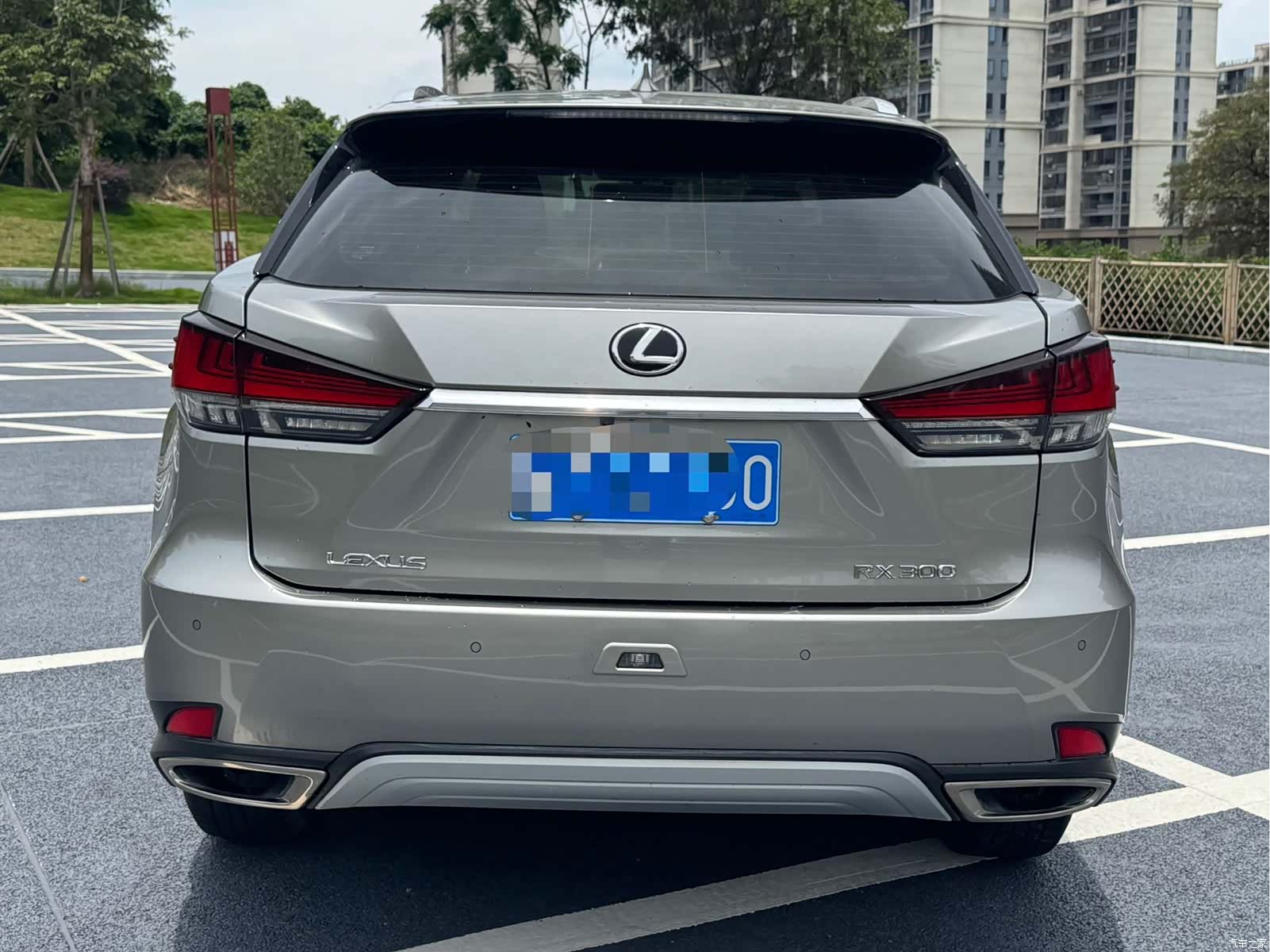 Lexus RX, 2022 8