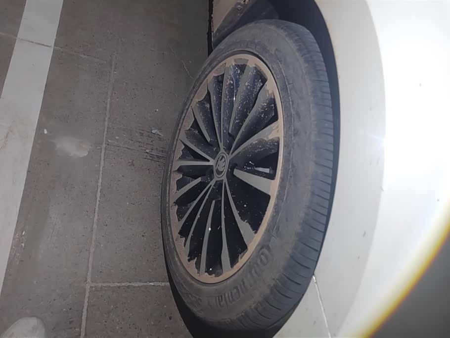 Skoda Speed pie Skoda Speed pie