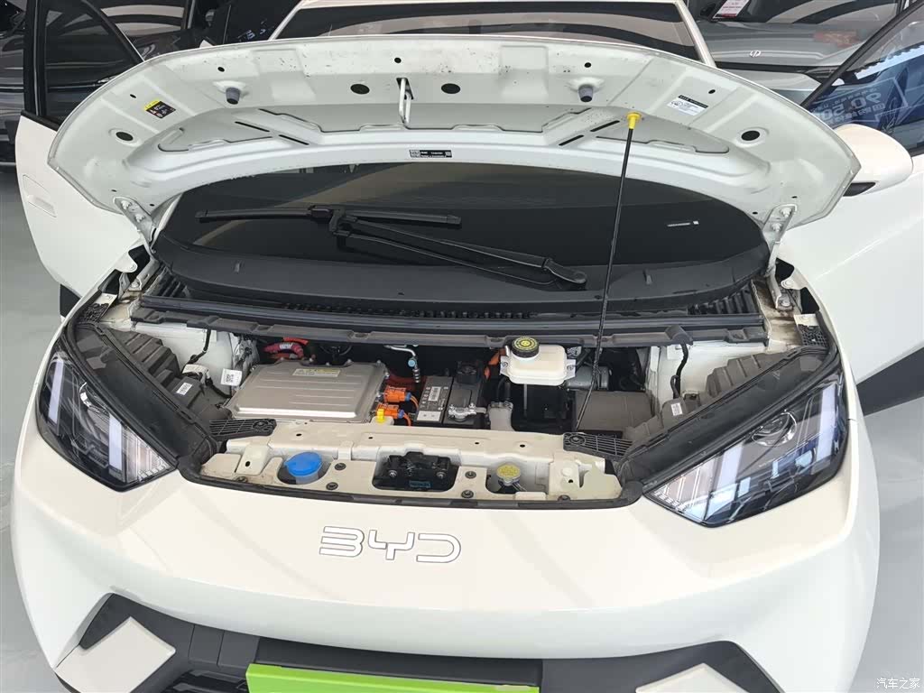 BYD Seagull, 2025 16