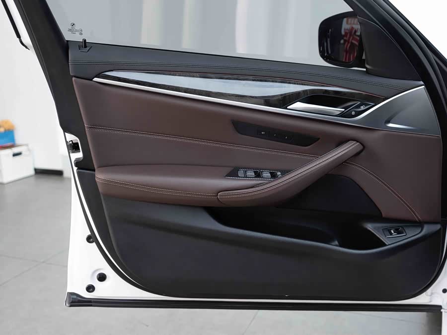 BMW 5 Series 2019, фото 9