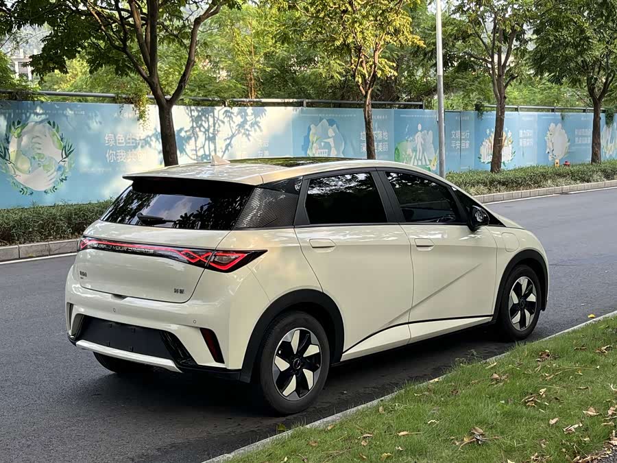 BYD Dolphin 2024, фото 5