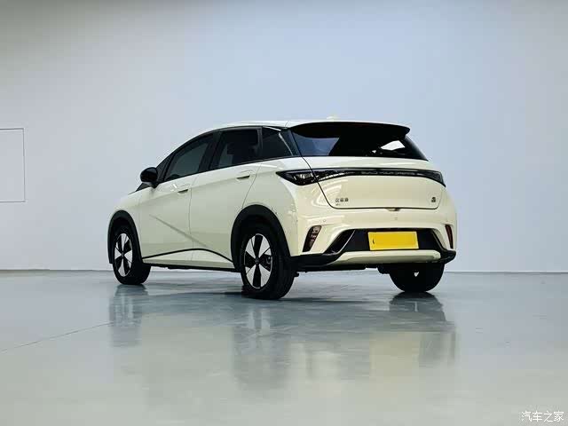 BYD Dolphin, 2023 7