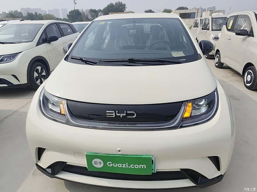 BYD Dolphin, 2026 3