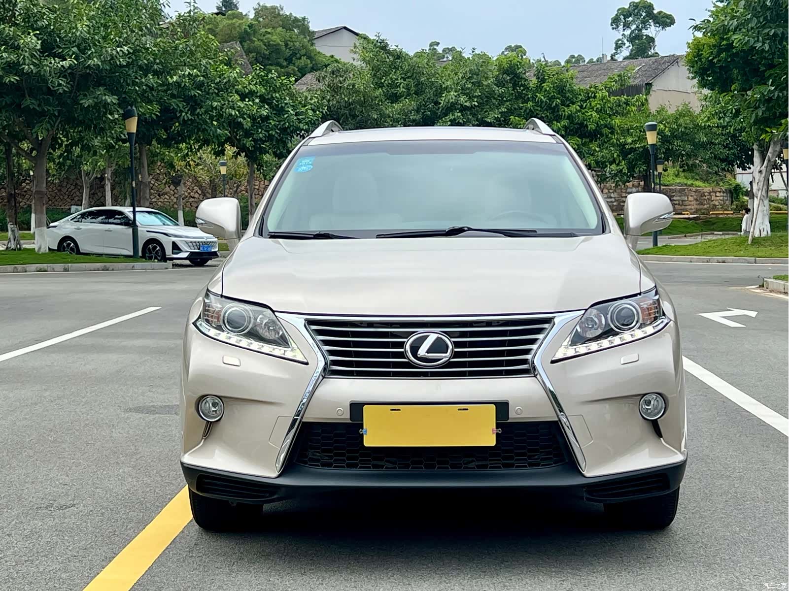 Lexus RX, 2013 2