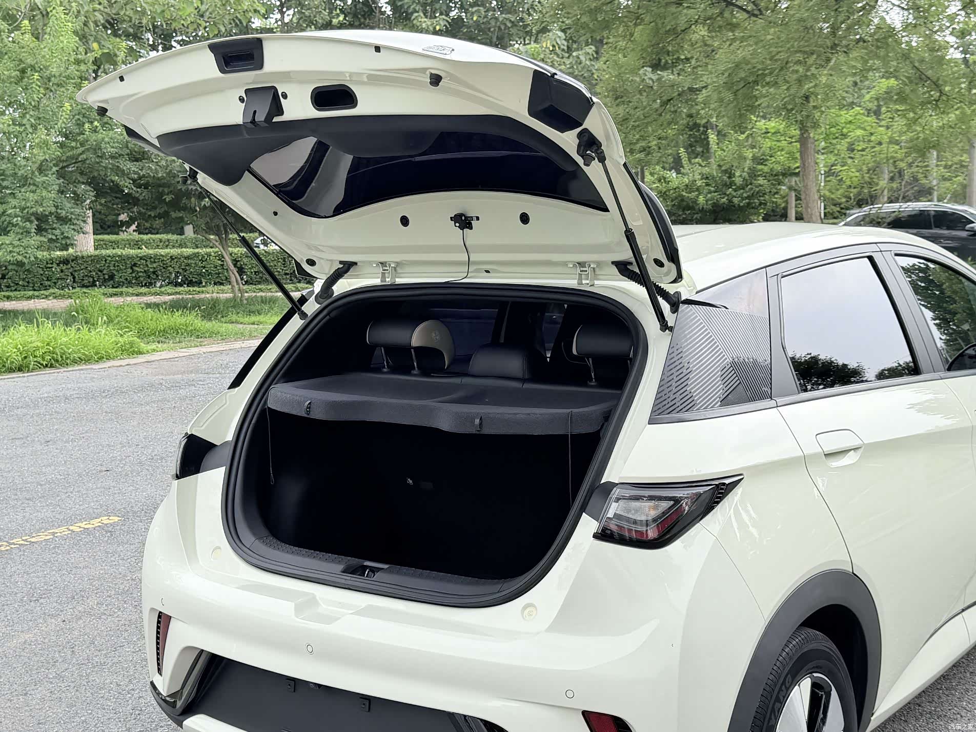 BYD Dolphin, 2023 23