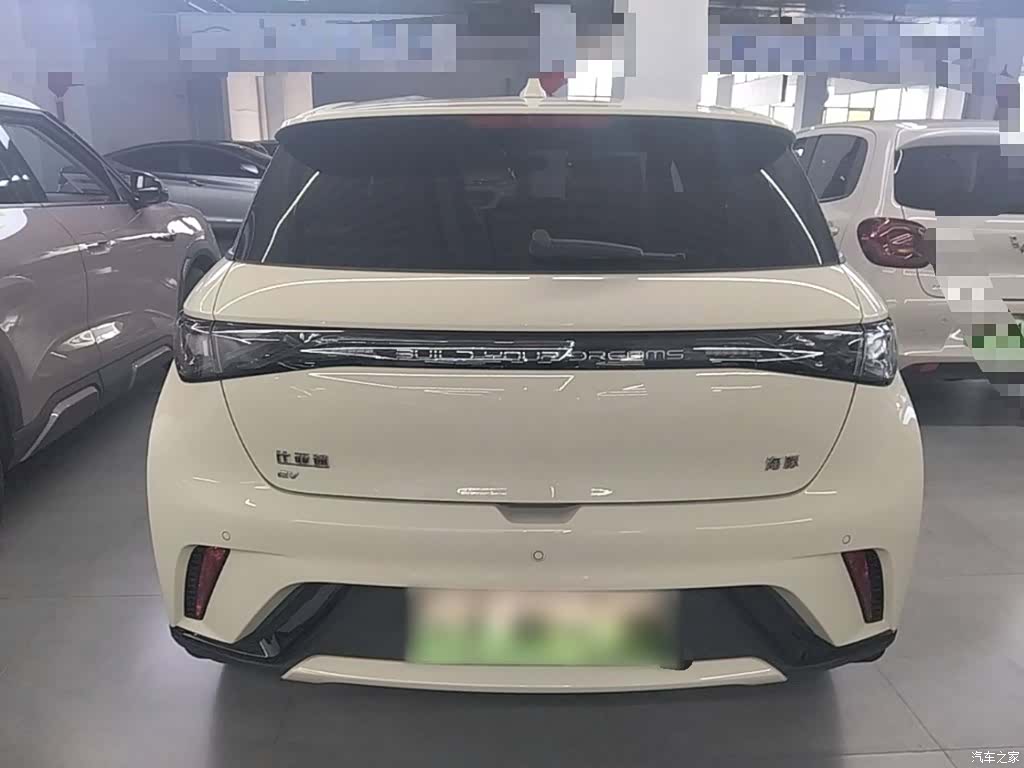 BYD Dolphin, 2026 4