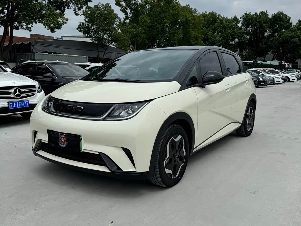 BYD Dolphin