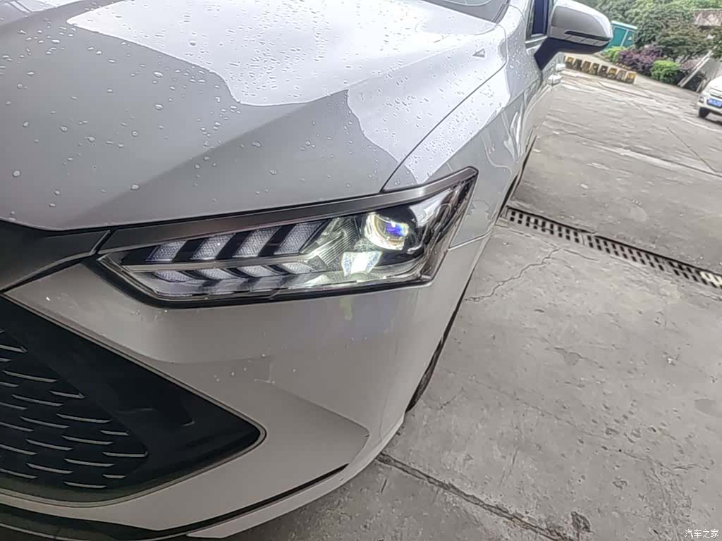 BYD Qin, 2023 24