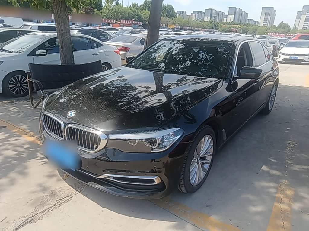 BMW 5 Series 5 2019 525Li Luxury