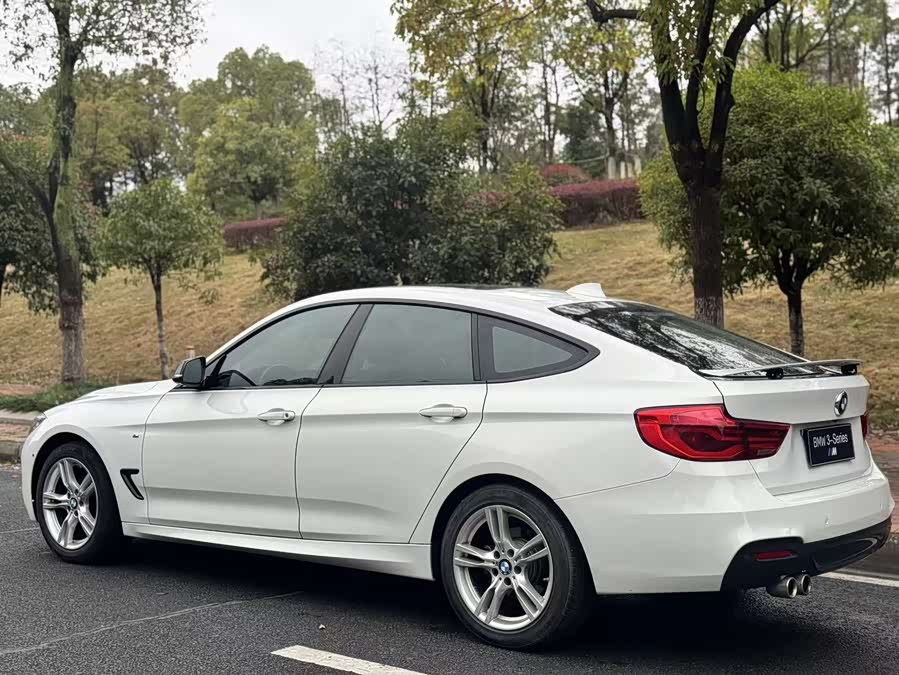 BMW 3 Series GT 2019, фото 7