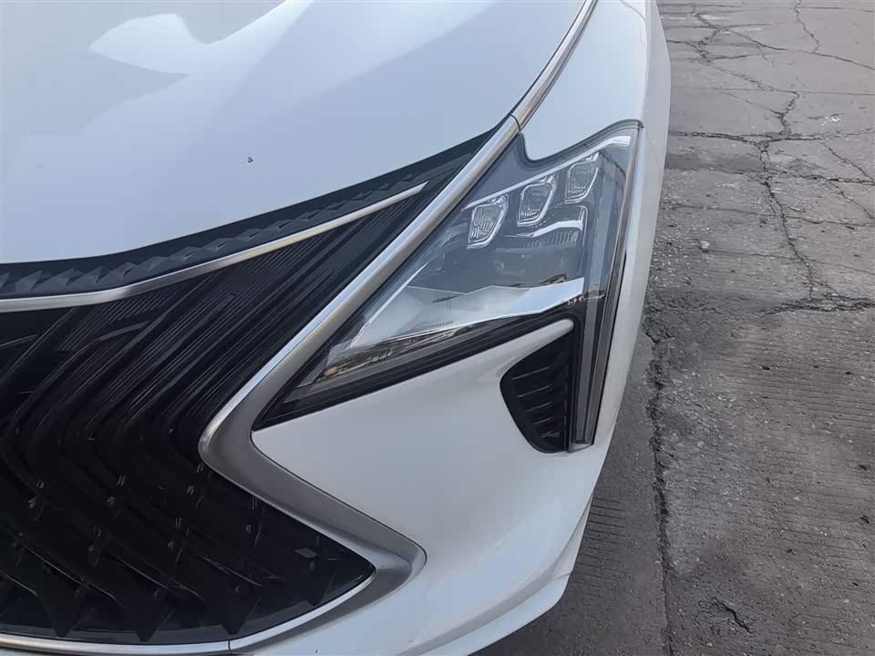 Forthing Popular yachts